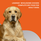 ADULT DOGS 2KG