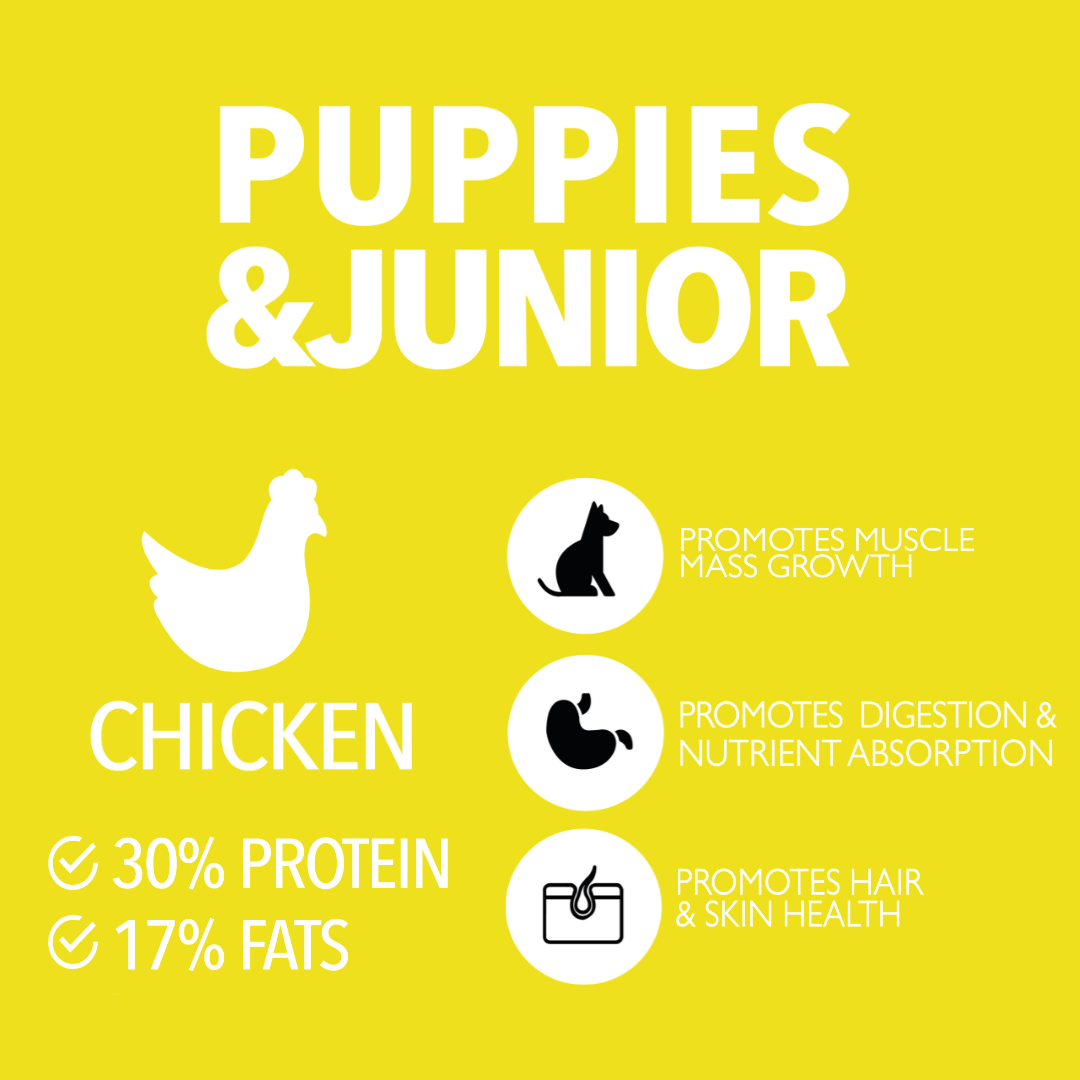 PUPPIES & JUNIOR 2KG