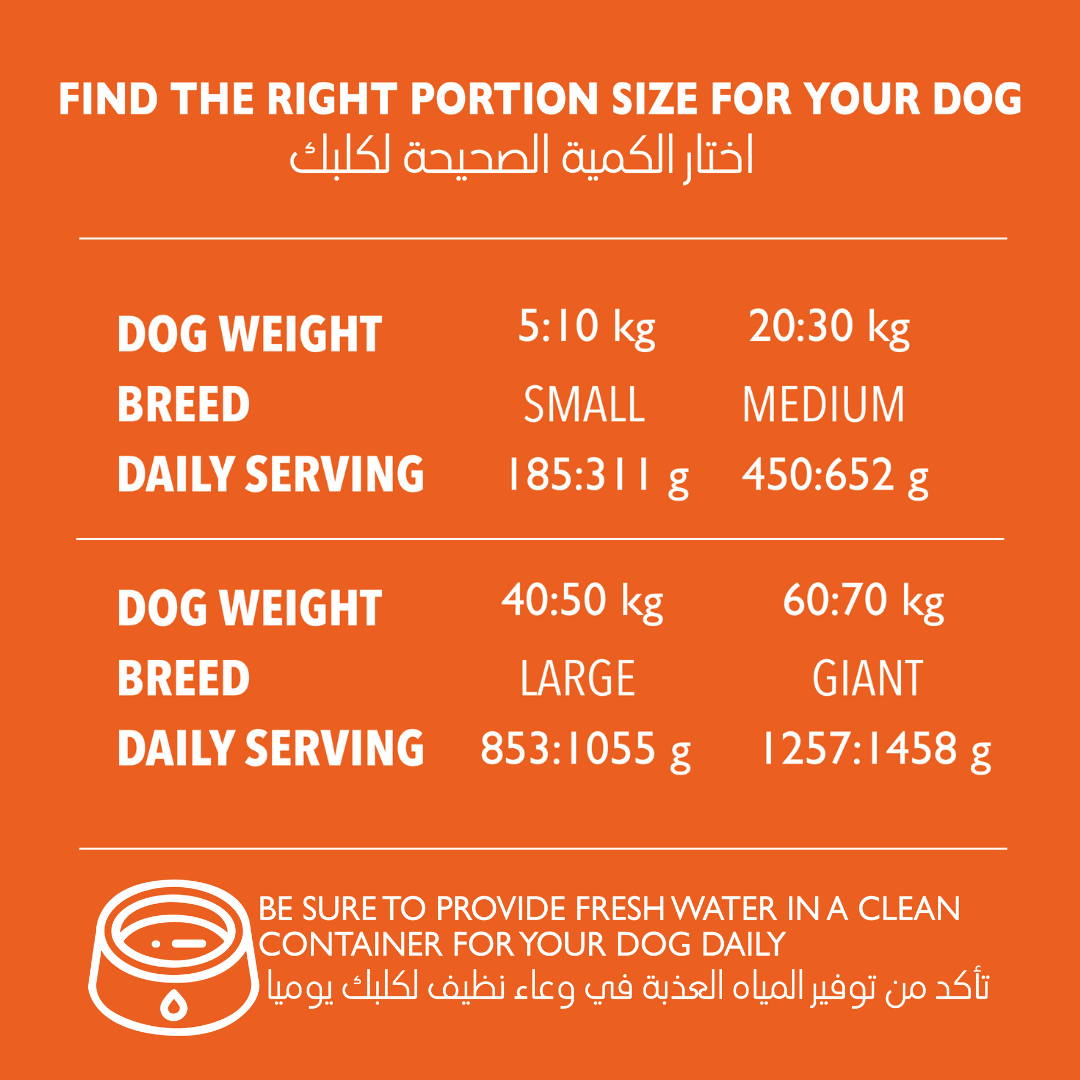 ADULT DOGS 10KG